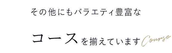 その他にもバラエティ豊富なコースを揃えています